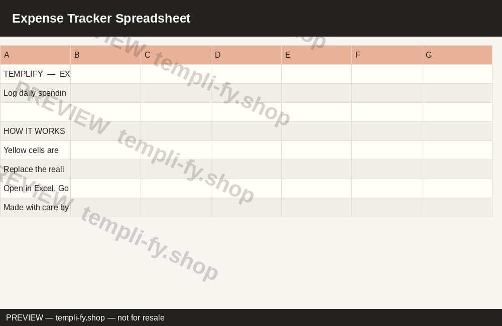 Expense Tracker Spreadsheet preview