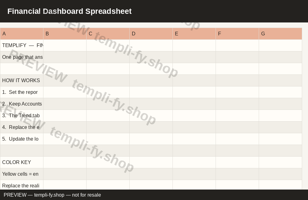 Financial Dashboard Spreadsheet preview
