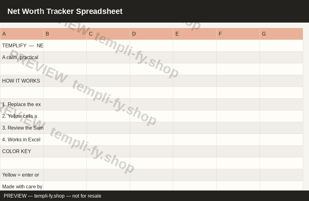 Net Worth Tracker Spreadsheet preview
