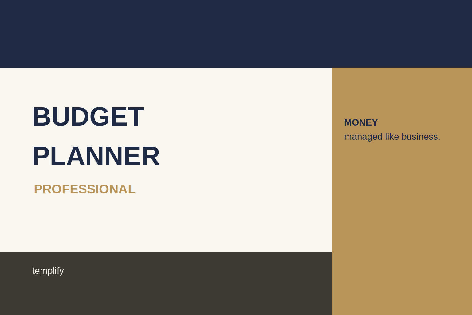 Professional Budget Planner preview 2