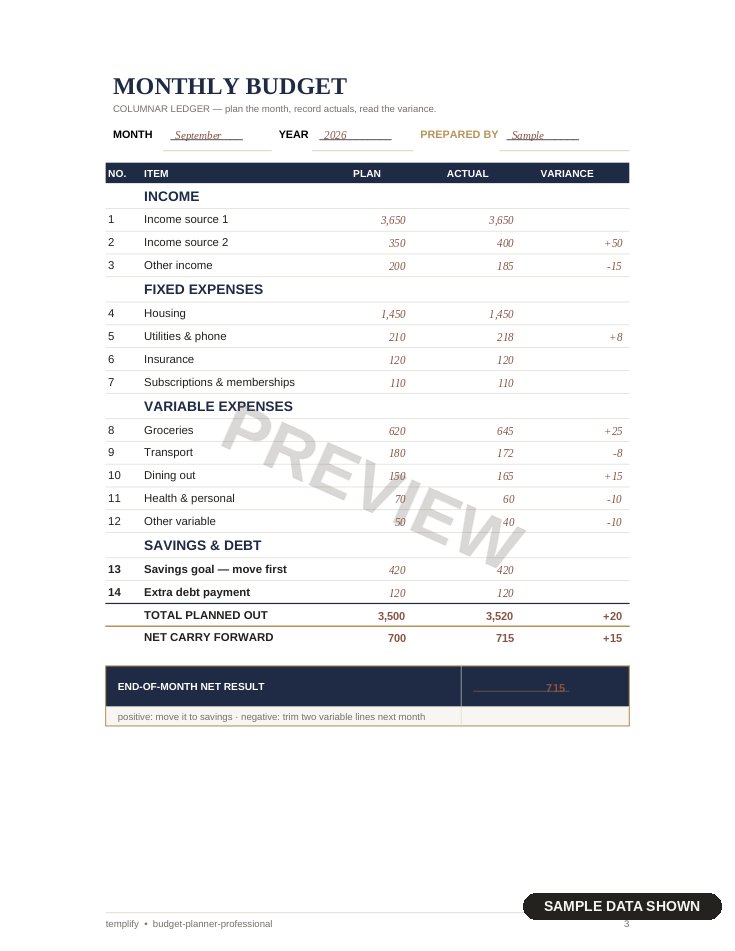 Professional Budget Planner preview